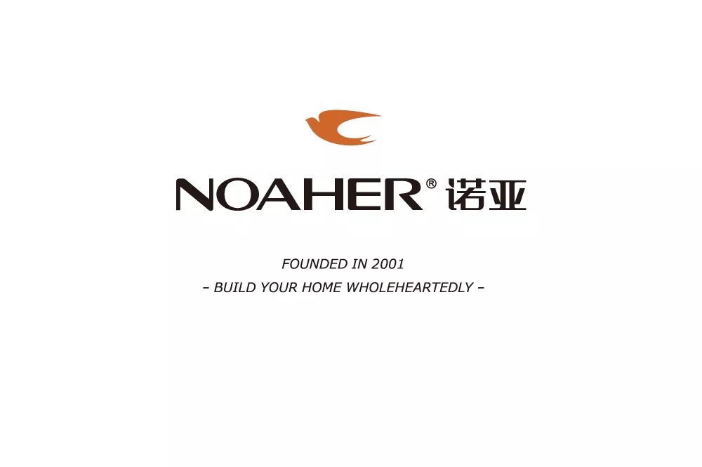 诺雅最新,诺雅最新，回溯与前瞻