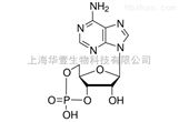 最新诺明深度探究，背景、重要事件与地位分析