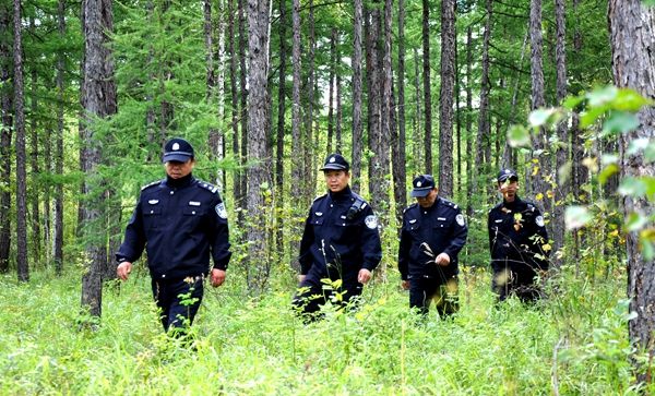 森警改革塑造林业保护新篇章