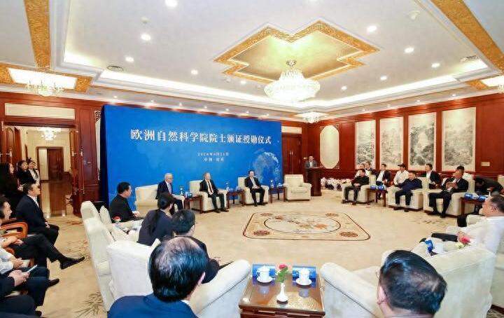 揭秘公司最新骗局，深度剖析、影响及观点阐述
