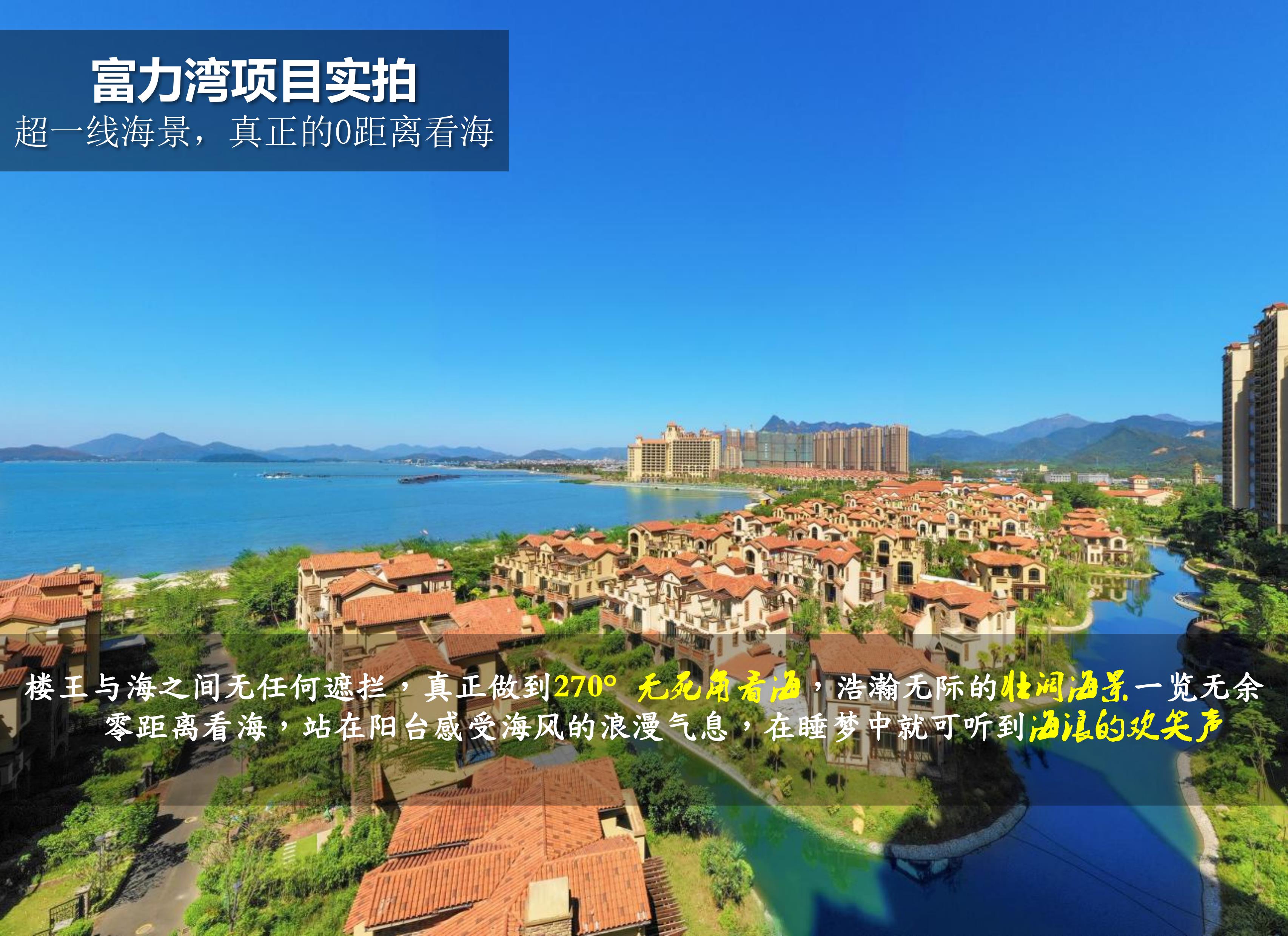 磁力湾最新探索，前沿科技与自然魅力的交汇点