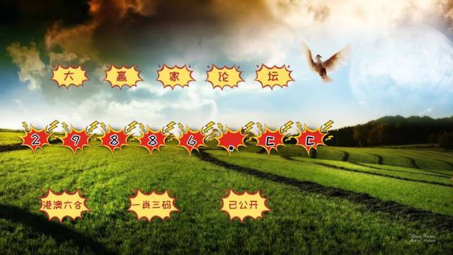 4949澳门今晚开奖,专业解读评估_套件版52.659
