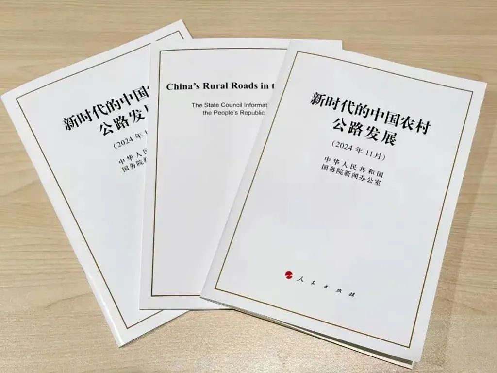 白皮书最新发布及其意义与影响深度解析
