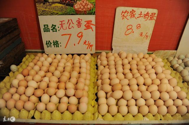 山东鸡蛋最新行情分析与市场走势预测
