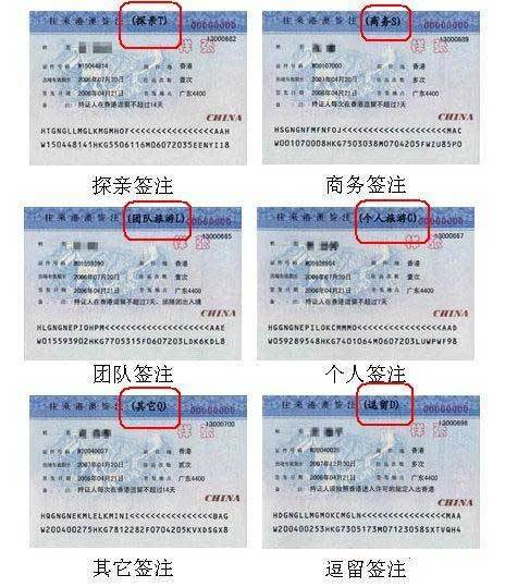 澳门最精准免费资料大全旅游团,专业解读评估_自由版6.600