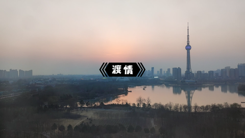 渡情最新动态更新
