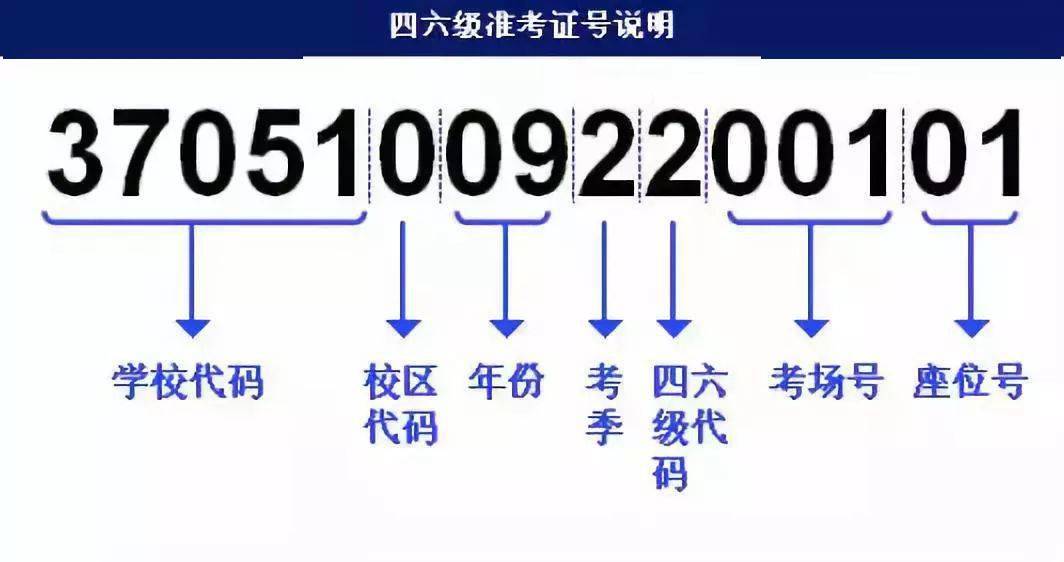 澳门4949最快开奖结果,精准解答方案详解_高端体验版65.941