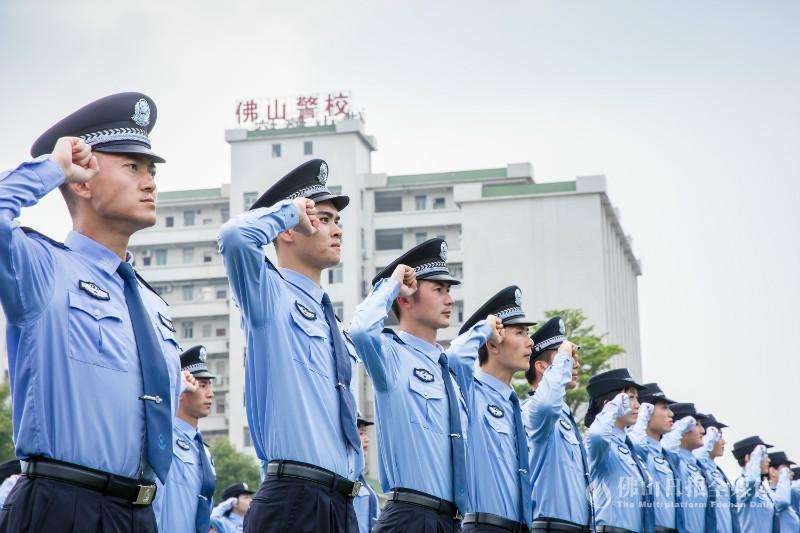 最新入警情况概览，新人警力加入概述