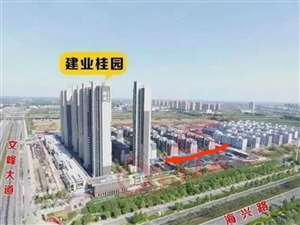 曙光新区独特巷弄风味大揭秘，最新深度探索之旅
