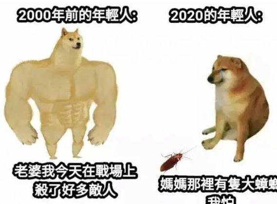 废柴最新视频网及使用指南概览