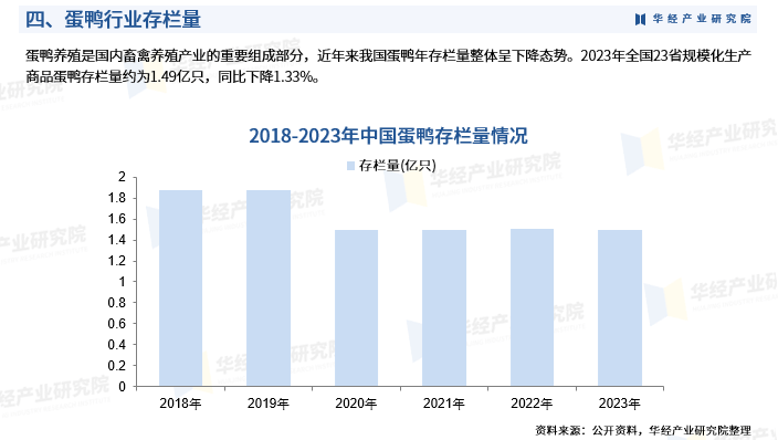 2025年鸭子行情分析指南，预测与策略
