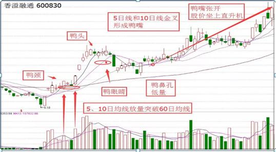 第484页