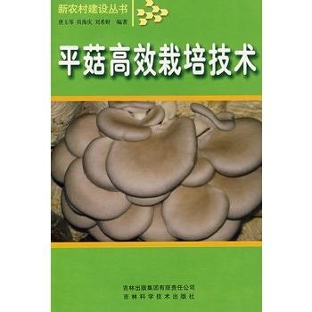 平菇栽培新乐趣，蘑菇屋里的温情故事探索与分享