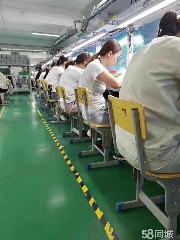 鹰江电子厂招聘信息，探索自然美景之旅，寻找内心的宁静与自我之旅。