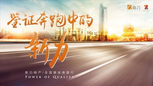 新力地产上市之路揭秘，地产界地位与影响探索