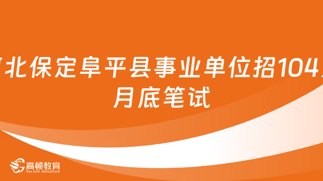 保定市最新招聘，友情与工作的交织奇遇