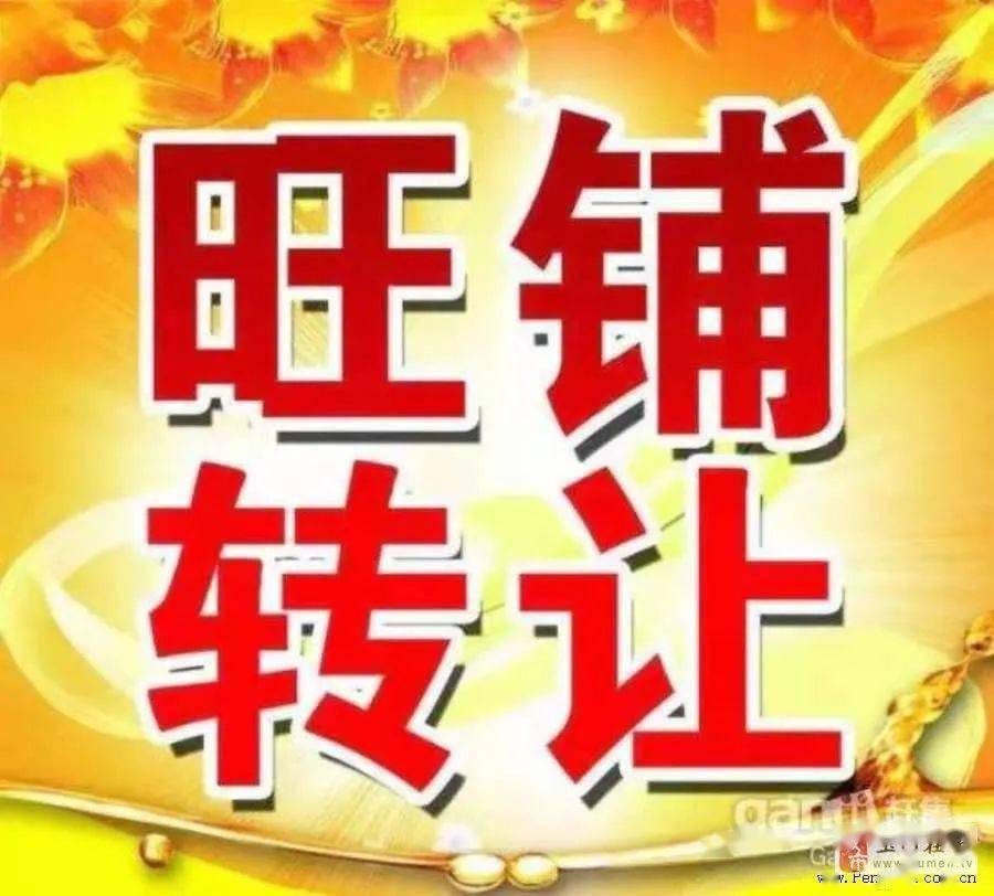苏州车网最新招聘信息概览