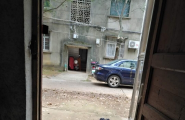 最新下司犬出售信息，自信与成长之旅