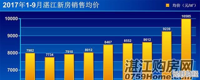 湛江遂溪最新楼盘房价揭秘，房价大解密✨