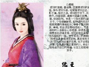 权力、情感与时代交织——官道红颜最新章节
