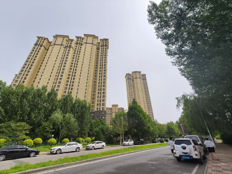武清楼市繁荣背后的真相，最新消息与深度解读