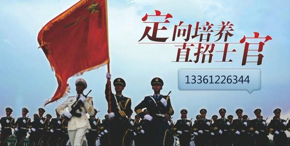 士官改革最新动态更新，最新消息全面解读